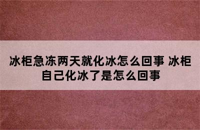 冰柜急冻两天就化冰怎么回事 冰柜自己化冰了是怎么回事